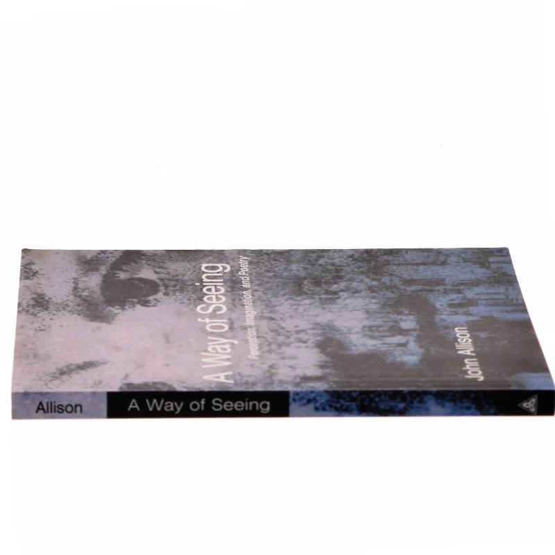 A Way of Seeing af John Allison (Bog)