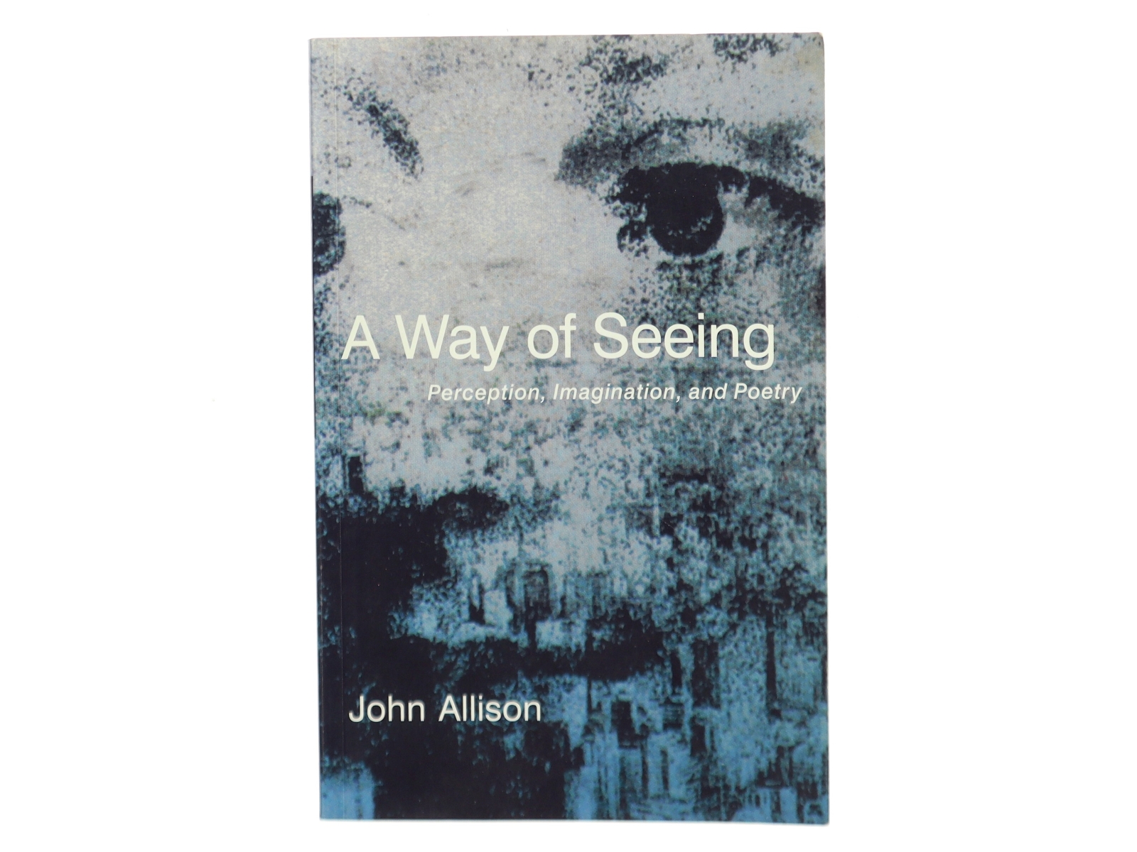 A Way of Seeing af John Allison (Bog)
