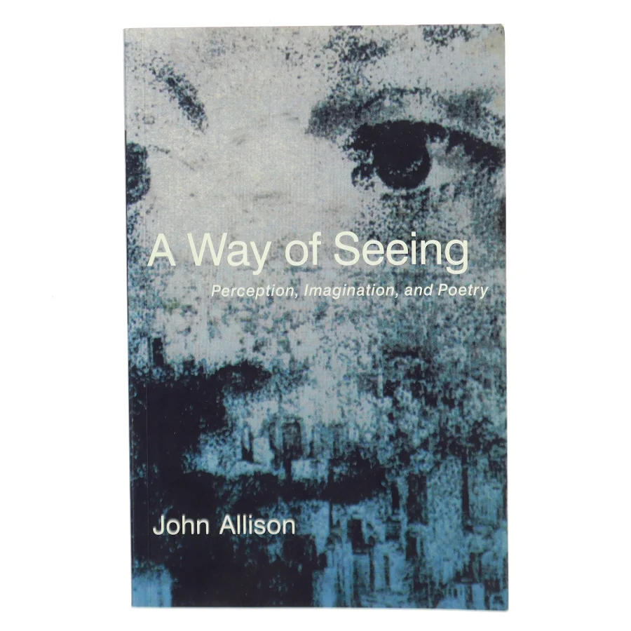 A Way of Seeing af John Allison (Bog)