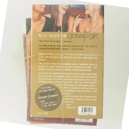 Gossip Girl 1-4: en roman af Cecily Von Ziegesar (Bog)