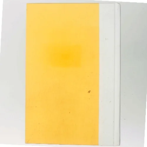 Good Arguments af Bo Seo (Bog)