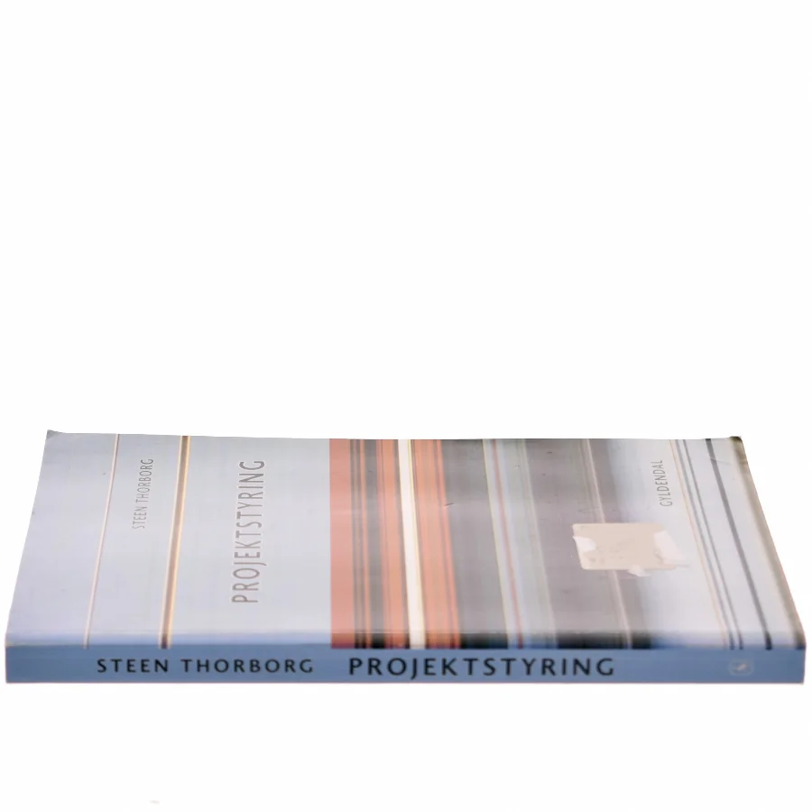 Projektstyring : projektledelse i praksis af Steen Thorborg (Bog)