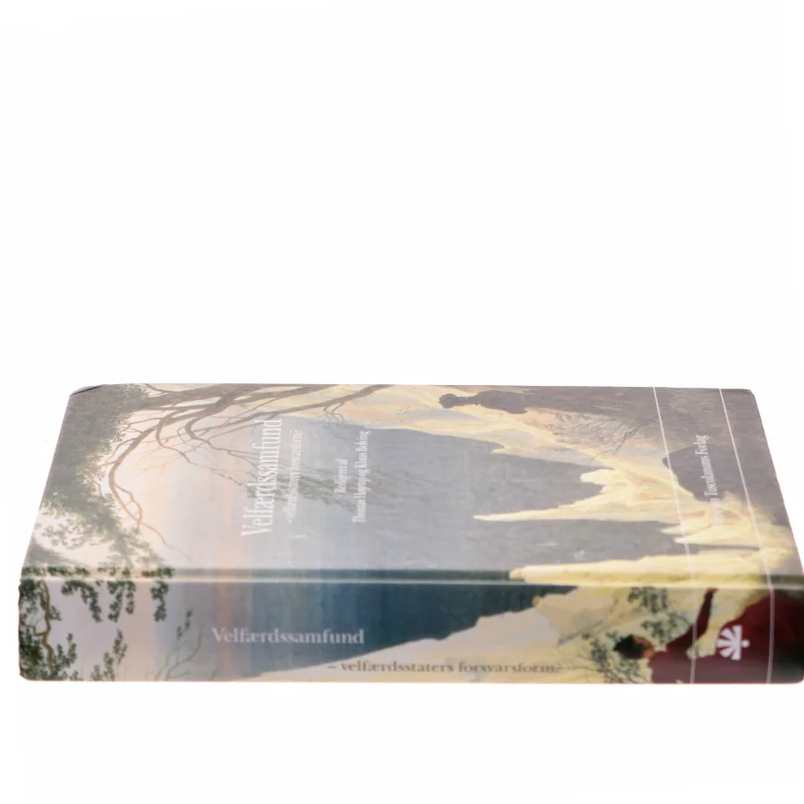 Velfærdssamfund - velfærdsstaters forsvarsform? (Bog)