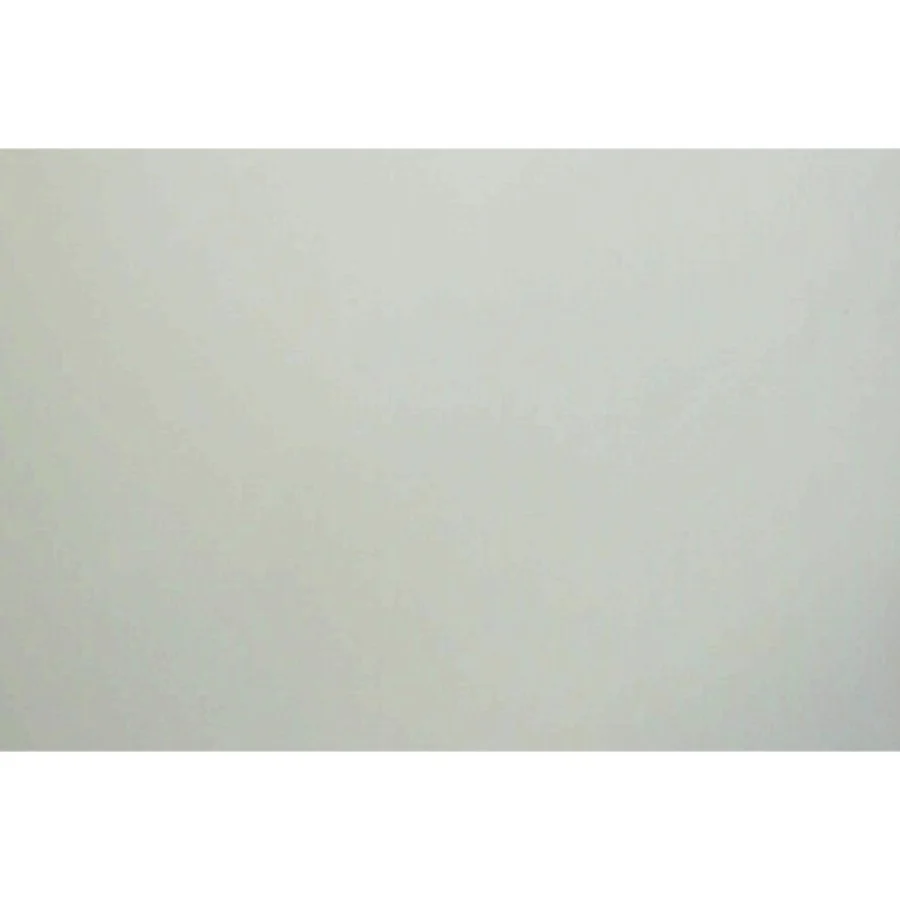 The vampire diaries. #3, Raseriet af L. J. Smith (Bog)