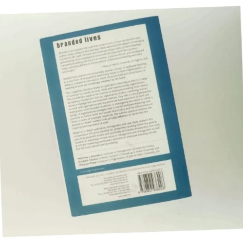 Branded lives : the production and consumption of meaning at work (Bog)