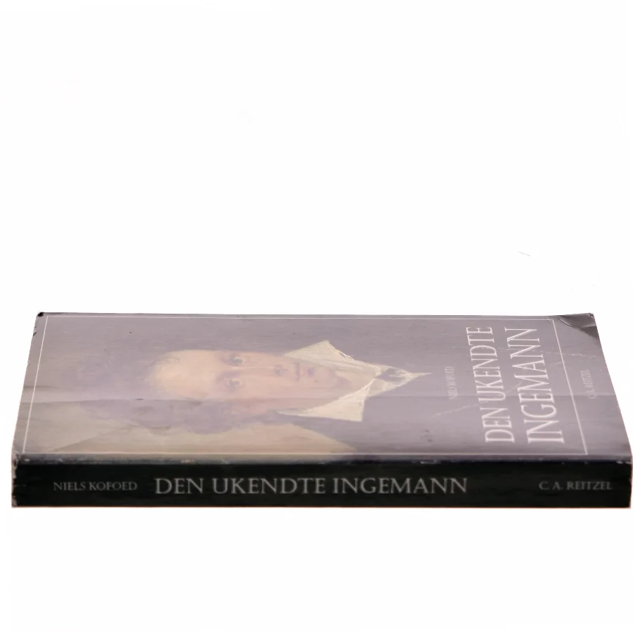 Den ukendte Ingemann af Niels Kofoed (Bog)