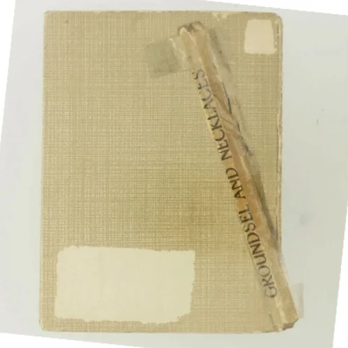 Groundsel and Necklaces af Cicely Mary Barker  (Bog)