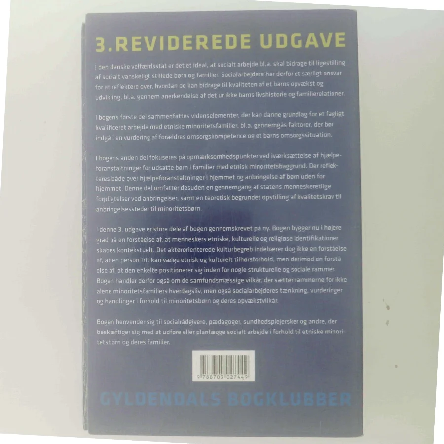 Etniske minoritetsfamilier og socialt arbejde af Marianne Skytte (Bog)