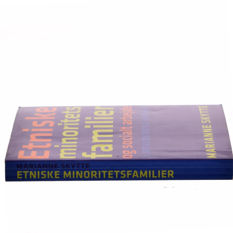 Etniske minoritetsfamilier og socialt arbejde af Marianne Skytte (Bog)