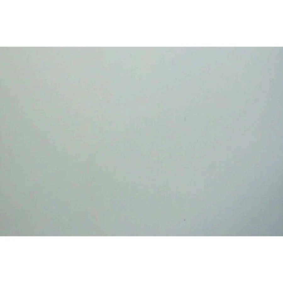 Notre-Dame of Paris af Allan Temko (Bog)