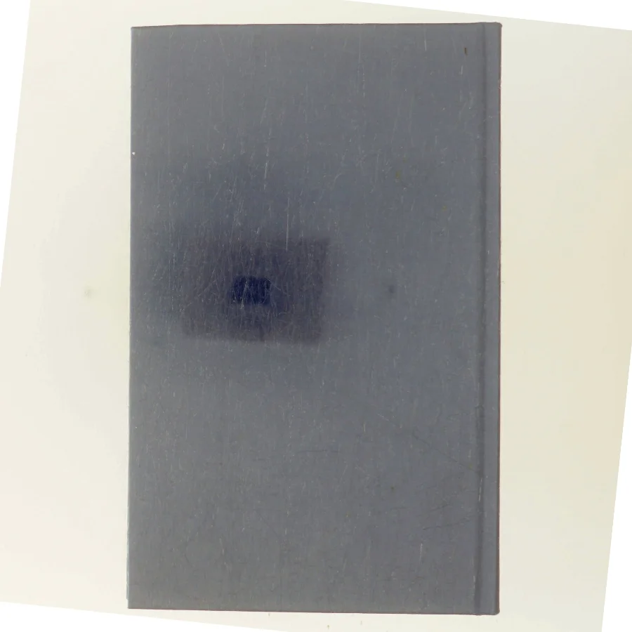 Derfor hopper jeg af Naoki Higashida (Bog)