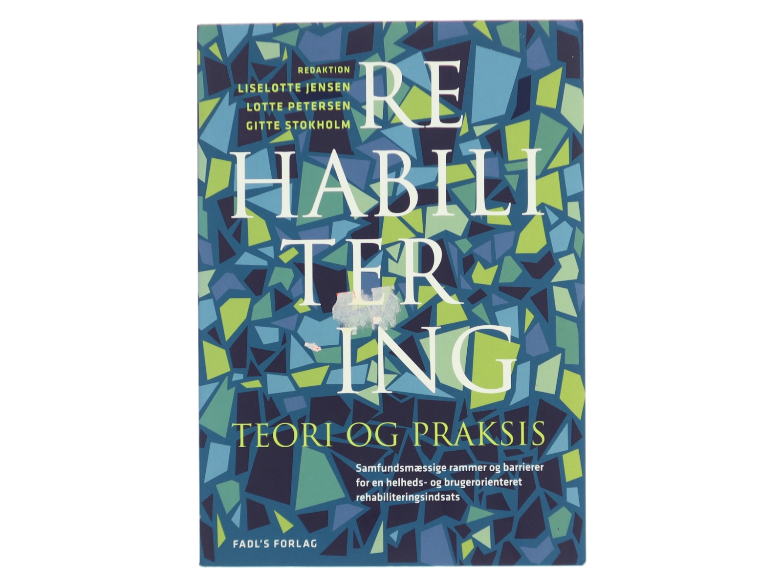 Rehabilitering : teori & praksis (Bog)