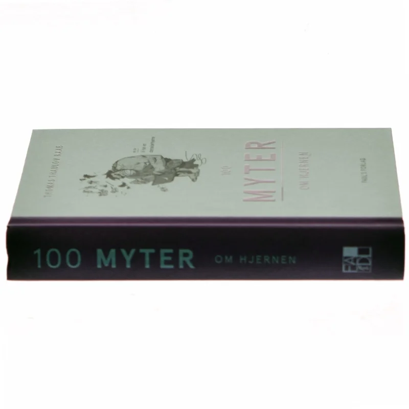 100 myter om hjernen af Thomas Raab (Bog)