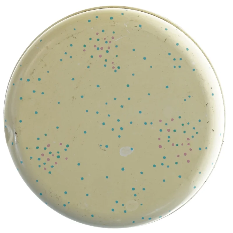 Dekorativ Vintage metaldåse fra Södahl (str. 15 cm)