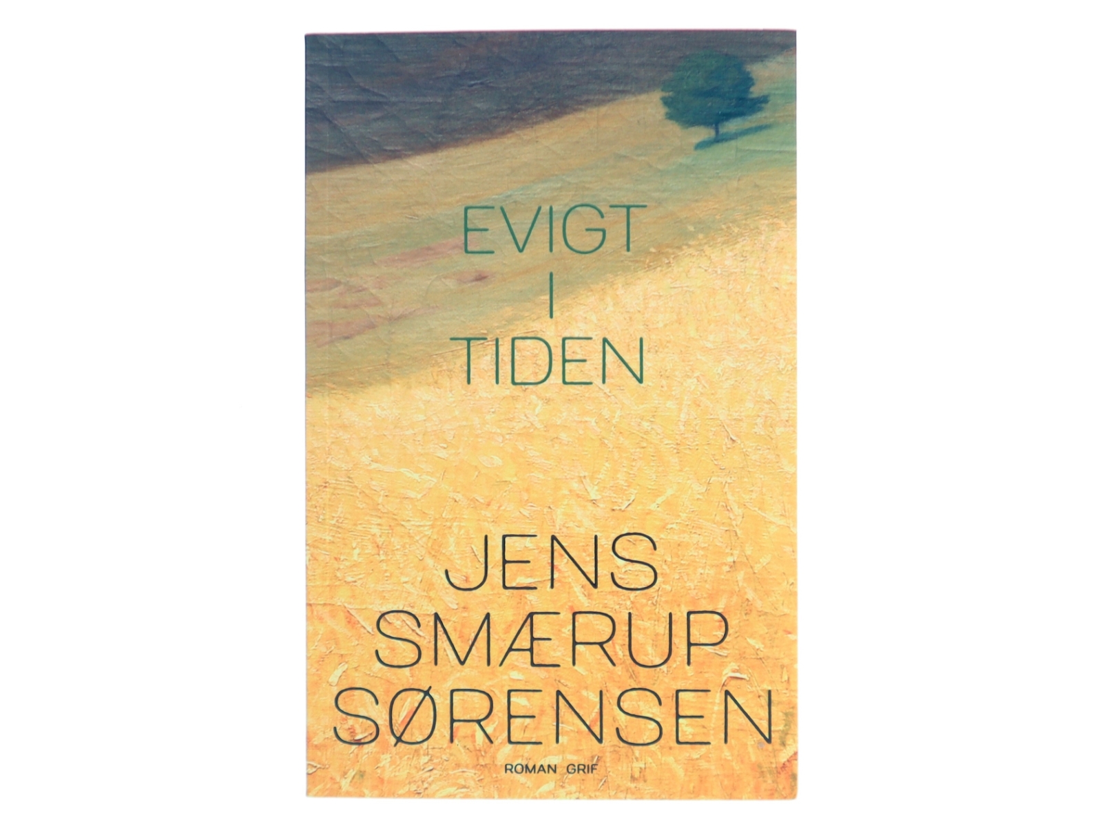 Evigt i tiden : roman (Læseklubpose) af Jens Smærup Sørensen (Bog)