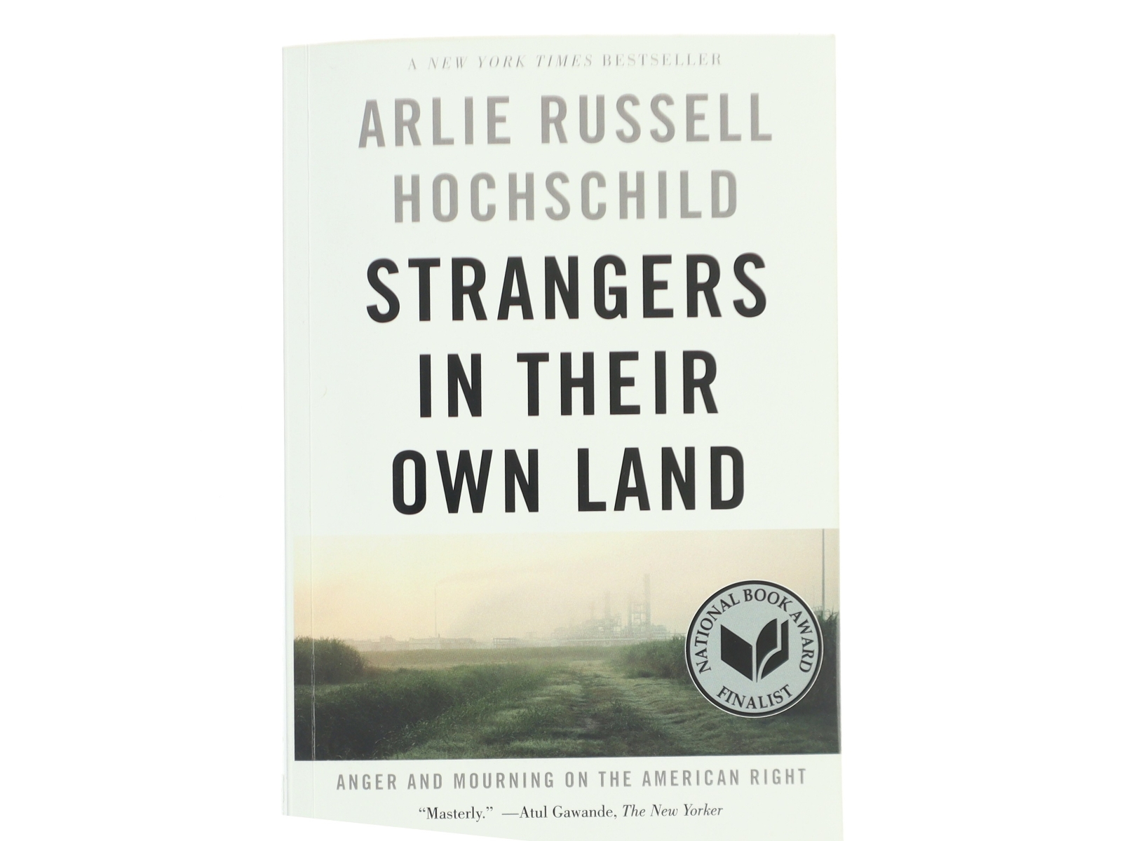 Strangers in their own land : anger and mourning on the American right af Arlie Russell Hochschild (Bog)