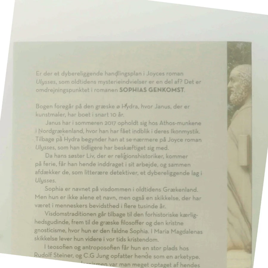 Sophias genkomst : visdommen i James Joyces roman Ulysses af Susanne Varming (Bog)