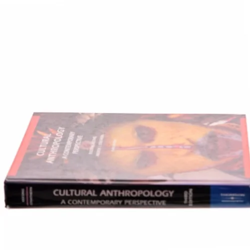 Cultural Anthropology af Andrew J. Strathern (Bog)