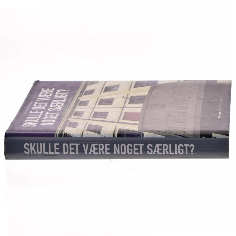 Skulle det være noget særligt? af Kurt Klaudi Klausen (Bog)