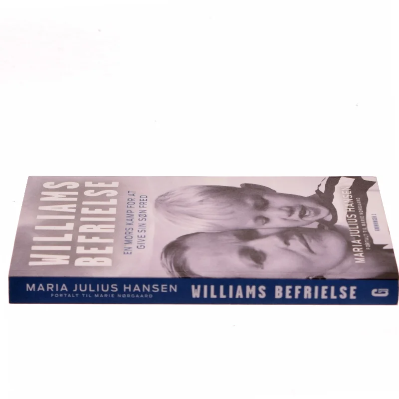 Williams befrielse : en mors kamp for at give sin søn fred af Maria Julius Hansen (f. 1980) (Bog)