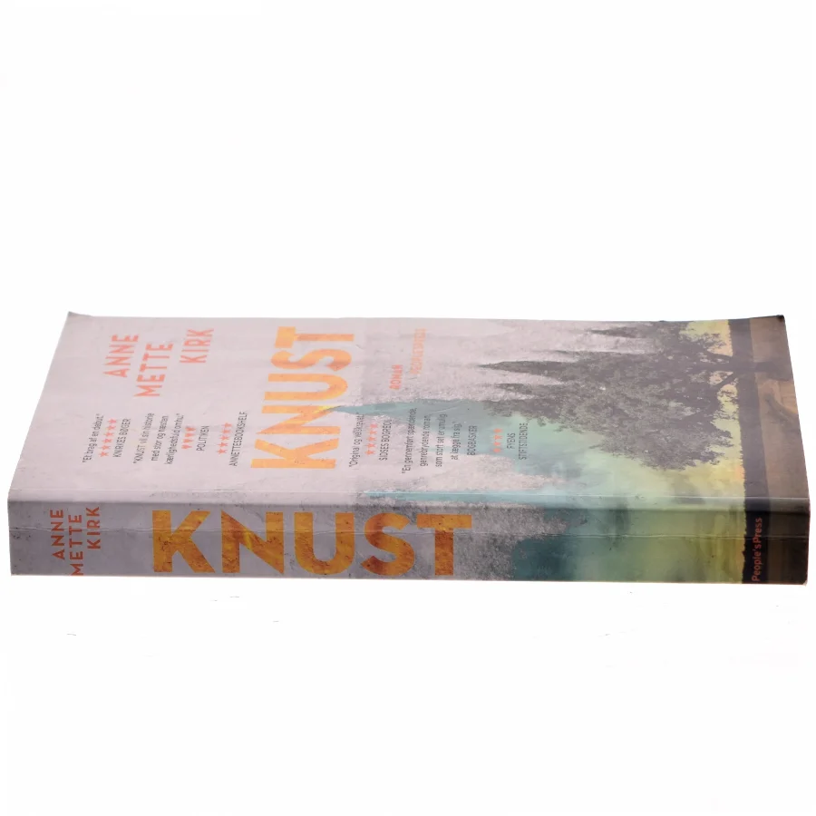 Knust : roman af Anne Mette Kirk (Bog)