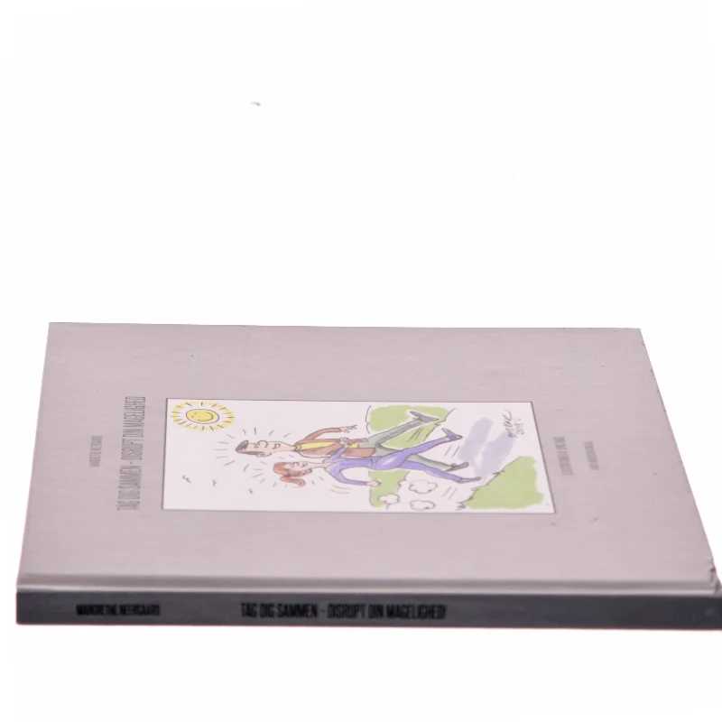 Tag dig sammen - disrupt din magelighed af Margrethe Neergaard (Bog)