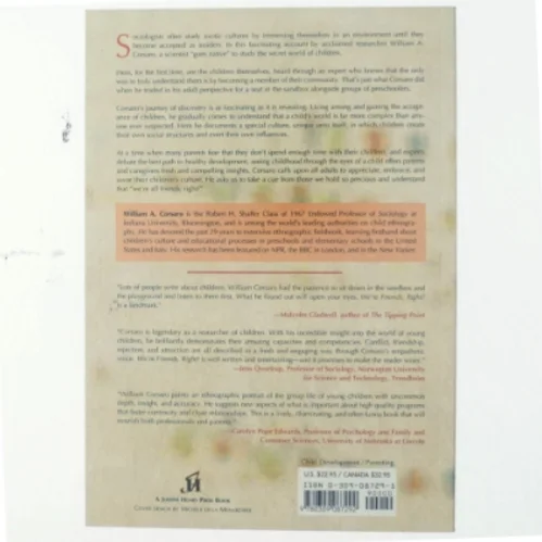 "We're friends, right?" : inside kids' culture (Bog)