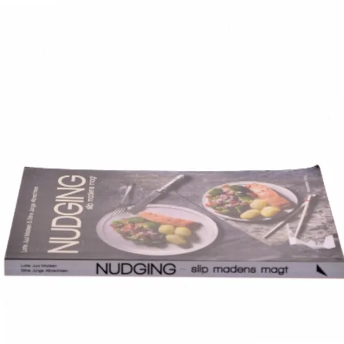 Nudging : slip madens magt af Lotte Juul Madsen (Bog)