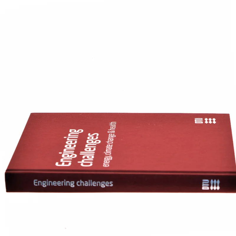 Engineering challenges energy, climate change & health (Bog) DTU