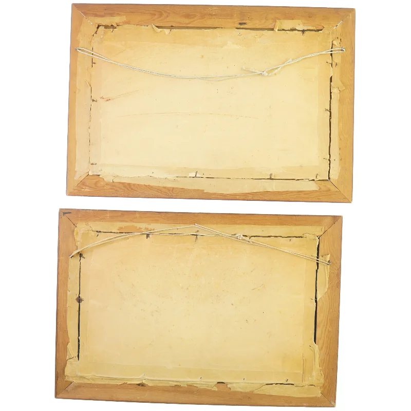 Antikke Billedrammer med blomster broderier (str. 50 x 34 cm)