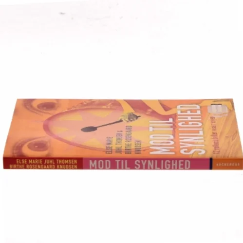 Mod til synlighed : 12 rollemodeller viser vejen (Bog)