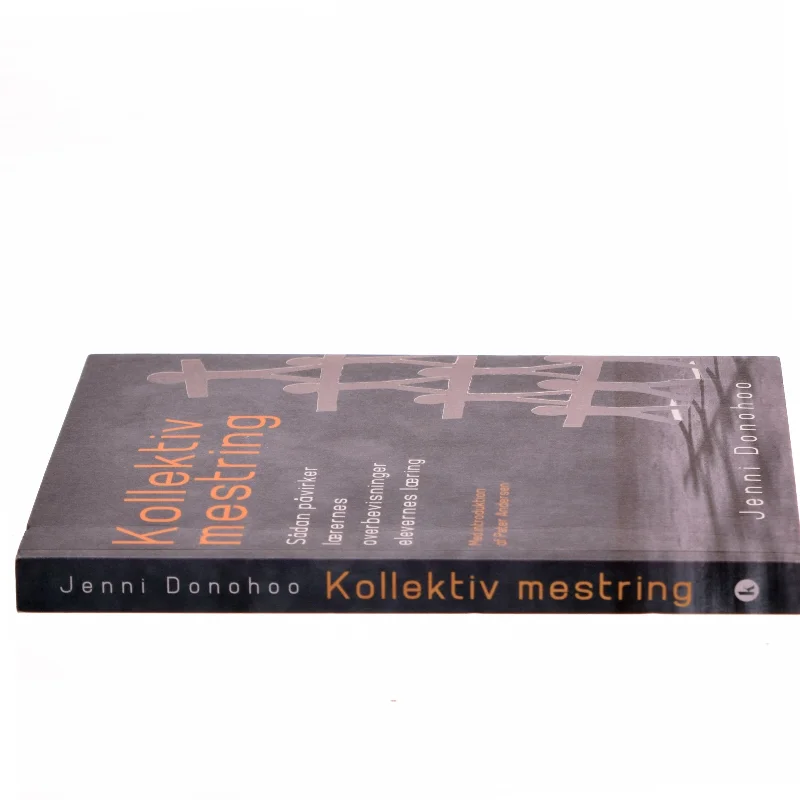 Kollektiv mestring : sådan påvirker lærernes overbevisning elevernes læring af Jenni Donohoo (Bog)