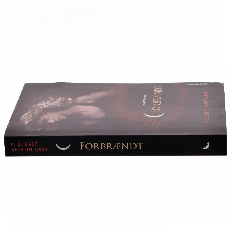 Forbrændt : Nattens hus 7 af Cast (Bog)