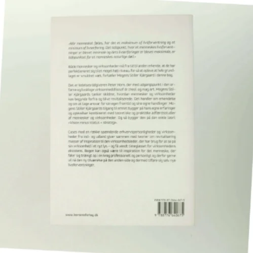 Vision minus status = strategi : ledelsesfilosoffen Mogens Stiller Kjärgaards lov om revitalisering af mennesker og virksomheder (Bog)