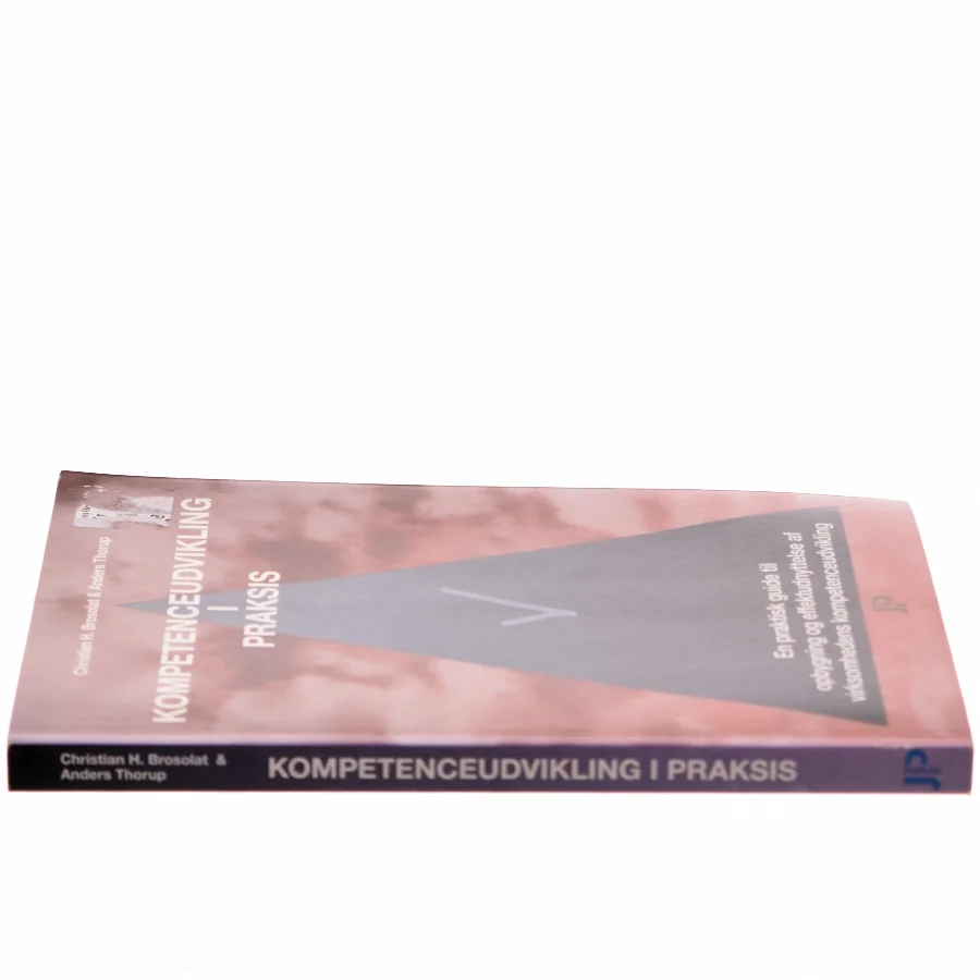 Kompetenceudvikling i praksis : en praktisk guide til opbygning og effektudnyttelse af virksomhedens kompetenceudvikling (Bog)