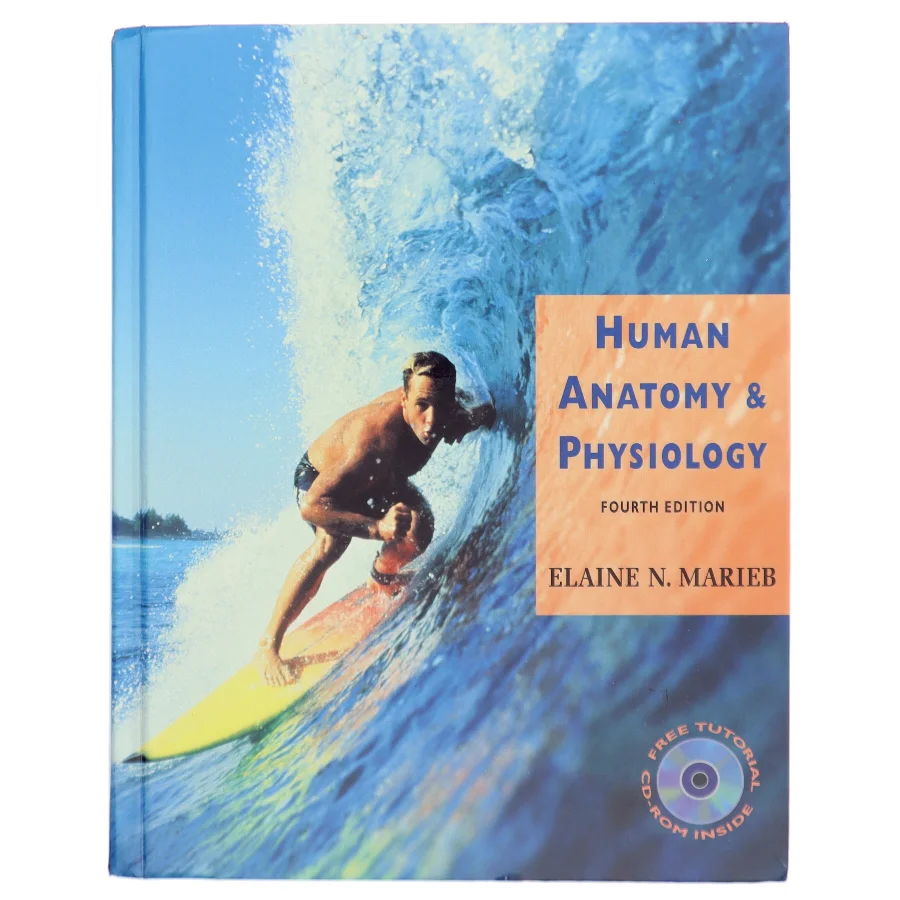 Human Anatomy & Physiology af Elaine N. Marieb (Bog)