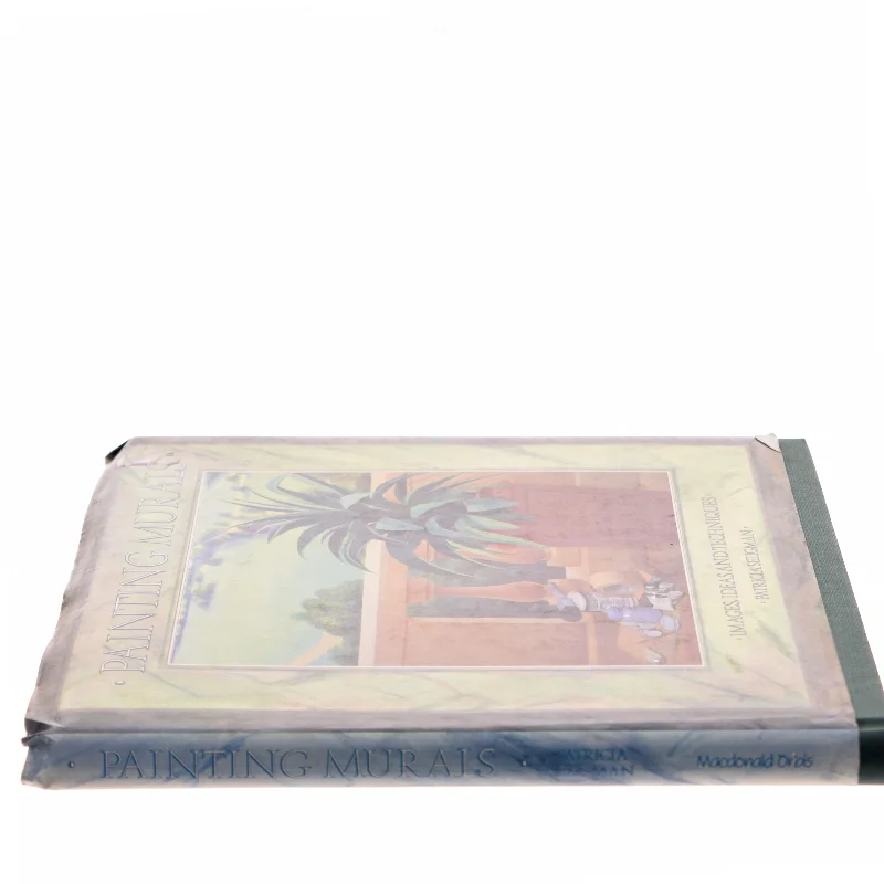 Painting murals : images, ideas and techniques af Patricia Seligman (Bog)