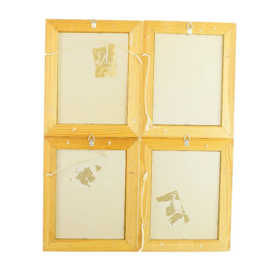 Dekorative tegninger af krydderurter i trærammer (4 stk)