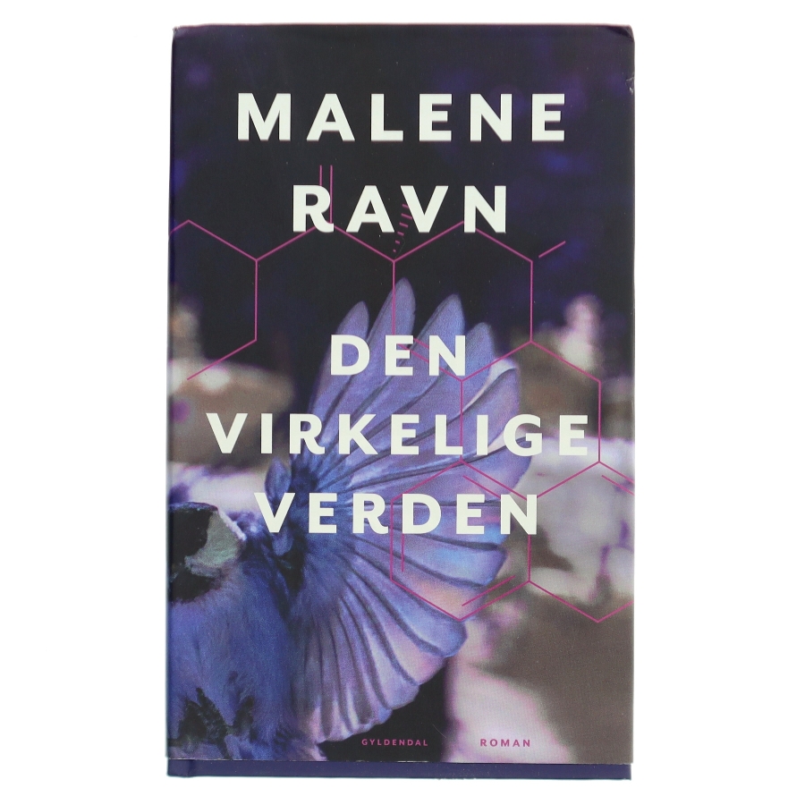 Den virkelige verden af Malene Ravn (Bog)
