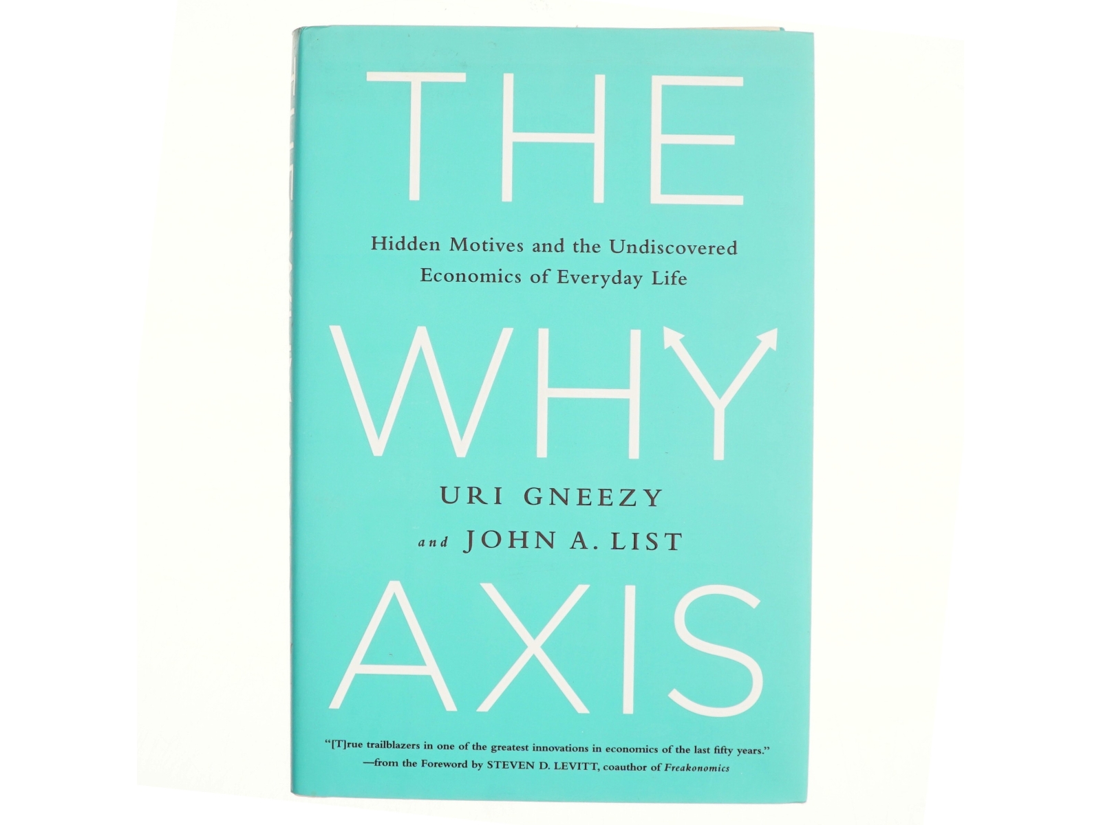 The Why axis : hidden motives and the undiscovered economics of everyday life (Bog)