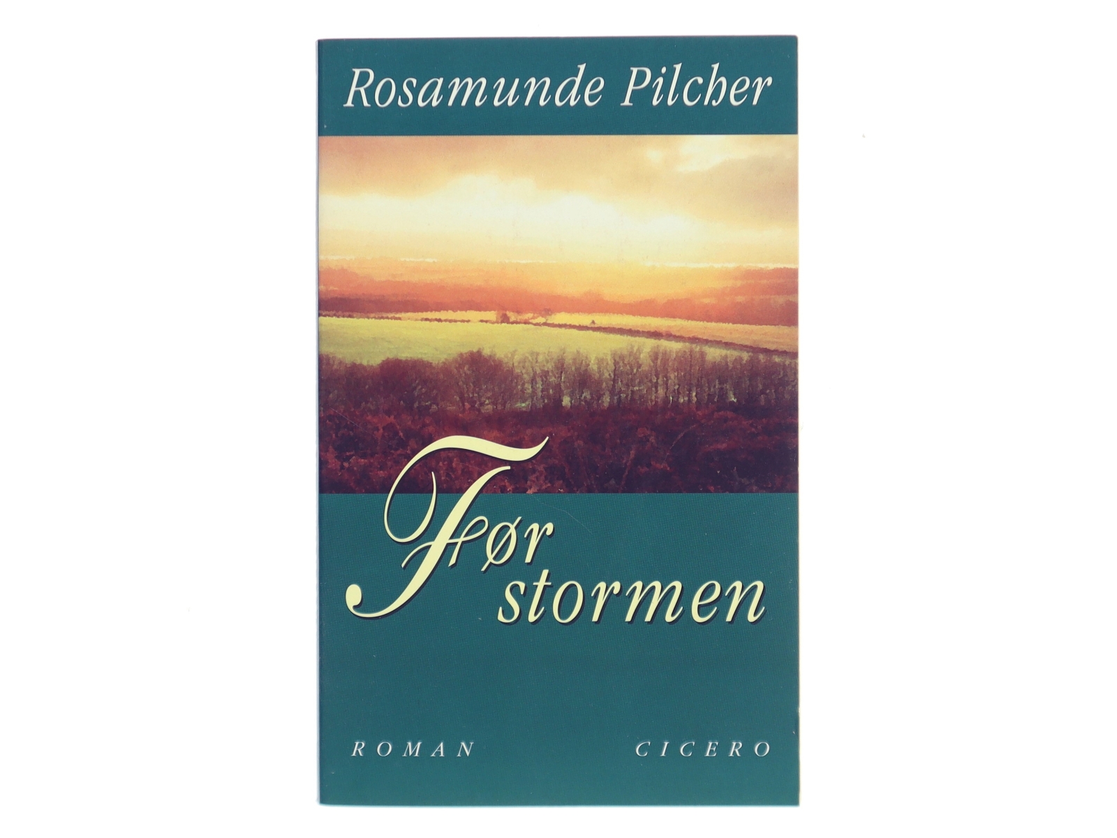 Før stormen af Rosamunde Pilcher (Bog)