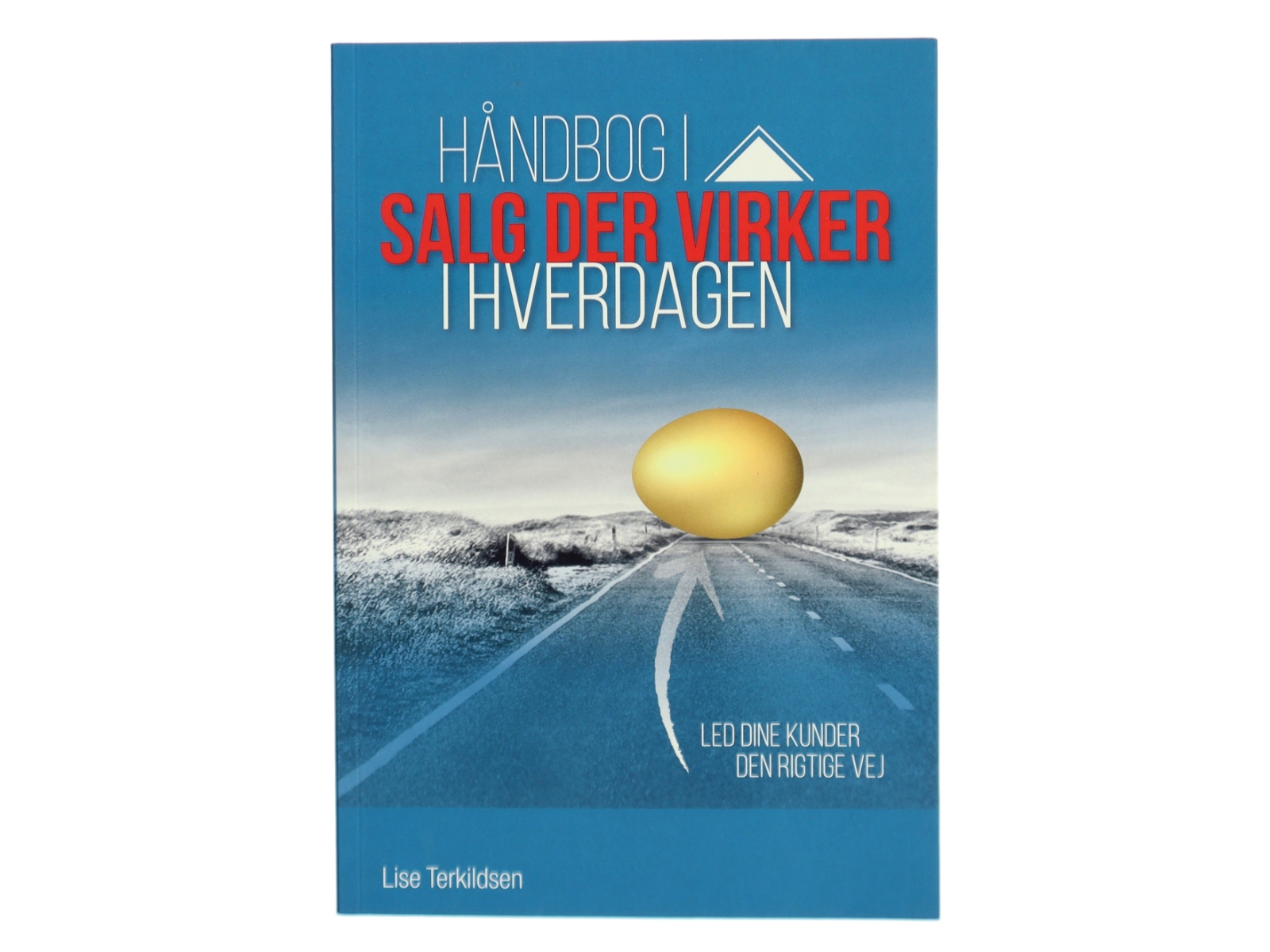 Håndbog i salg der virker i hverdagen af Lise Terkildsen (Bog)
