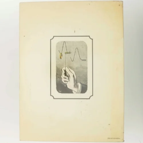 100 fantastiske tricks bog fra Borgen