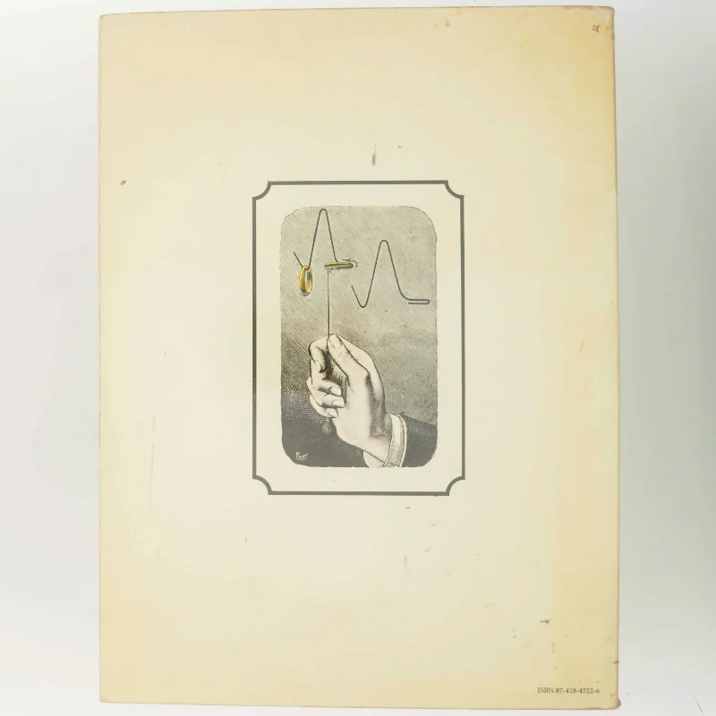 100 fantastiske tricks bog fra Borgen