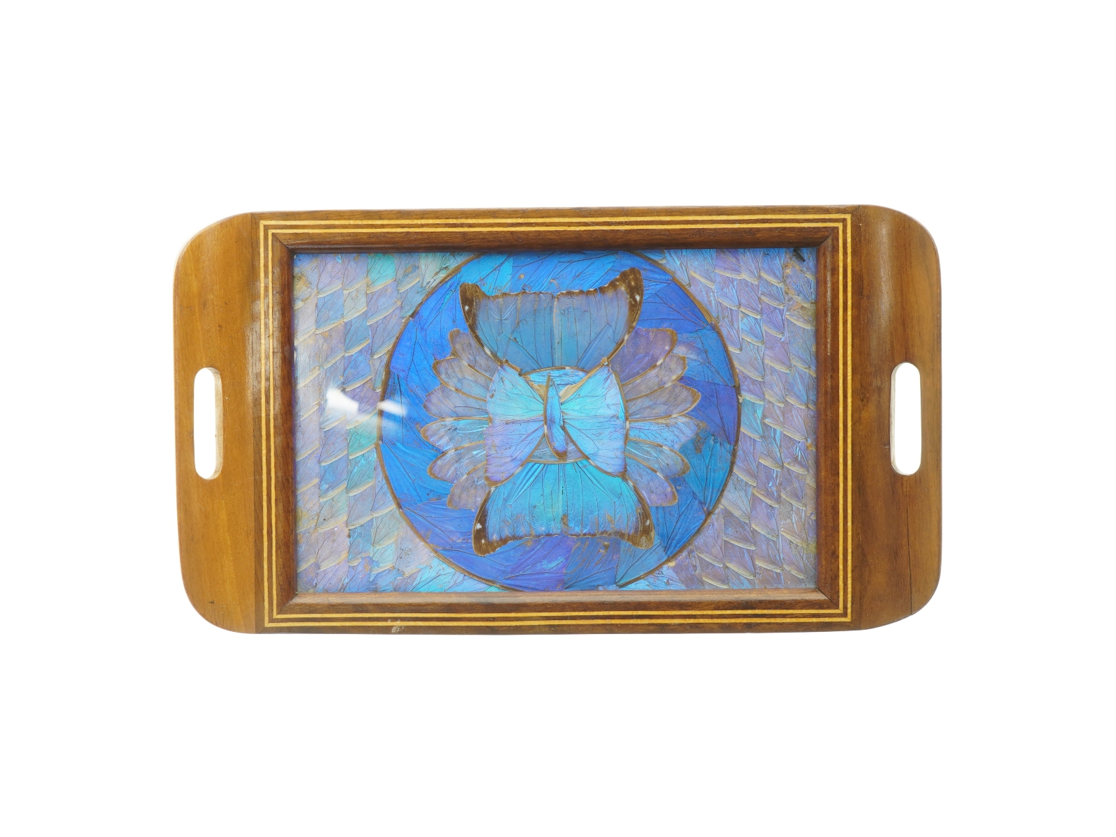 Sommerfugle Vinge Bakke (str. 41,5 x. 23,5 cm)