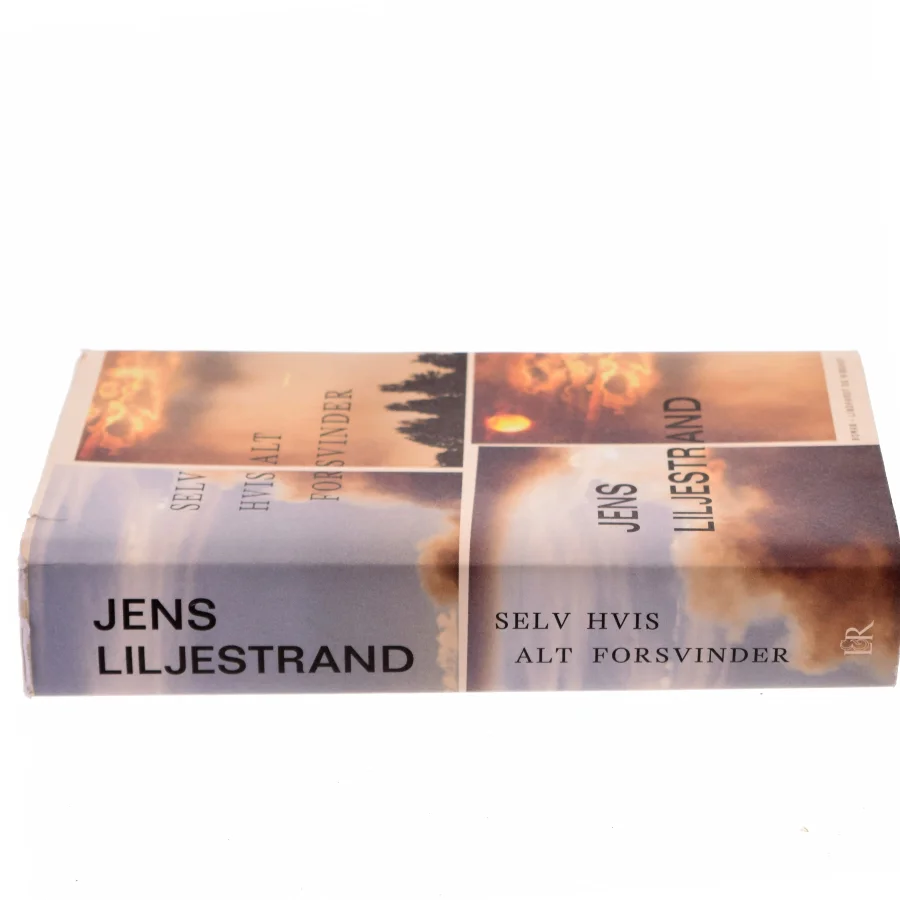 Selv hvis alt forsvinder af Jens Liljestrand (f. 1974) (Bog)