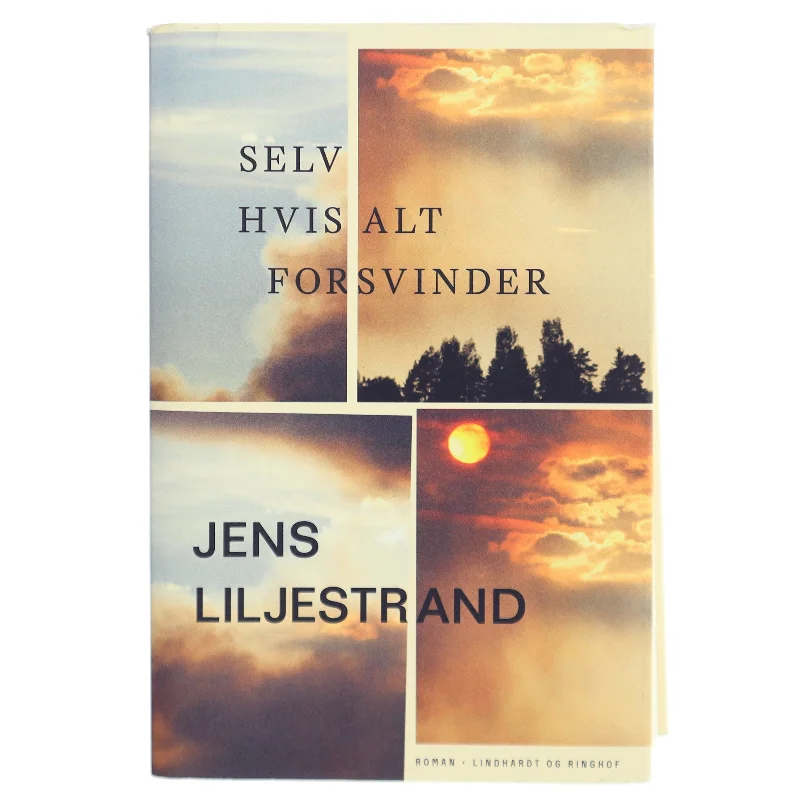 Selv hvis alt forsvinder af Jens Liljestrand (f. 1974) (Bog)