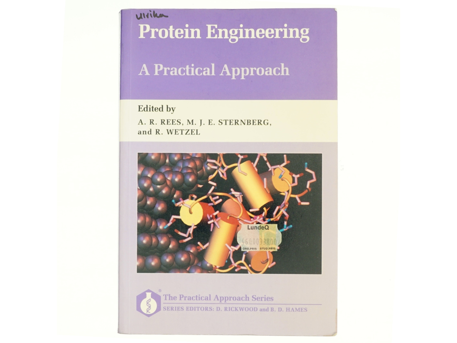 Protein engineering : A practical approach (Bog)