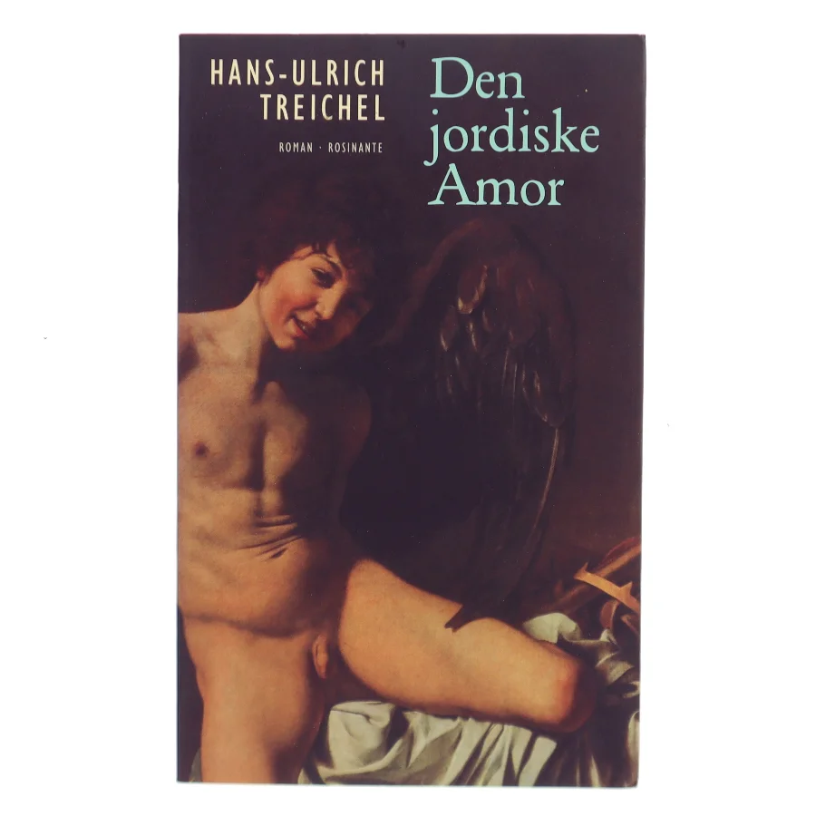 Den jordiske Amor : roman af Hans-Ulrich Treichel (Bog)