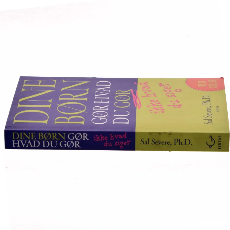 Dine børn gør hvad du gør, ikke hvad du siger af Sal Severe (Bog)